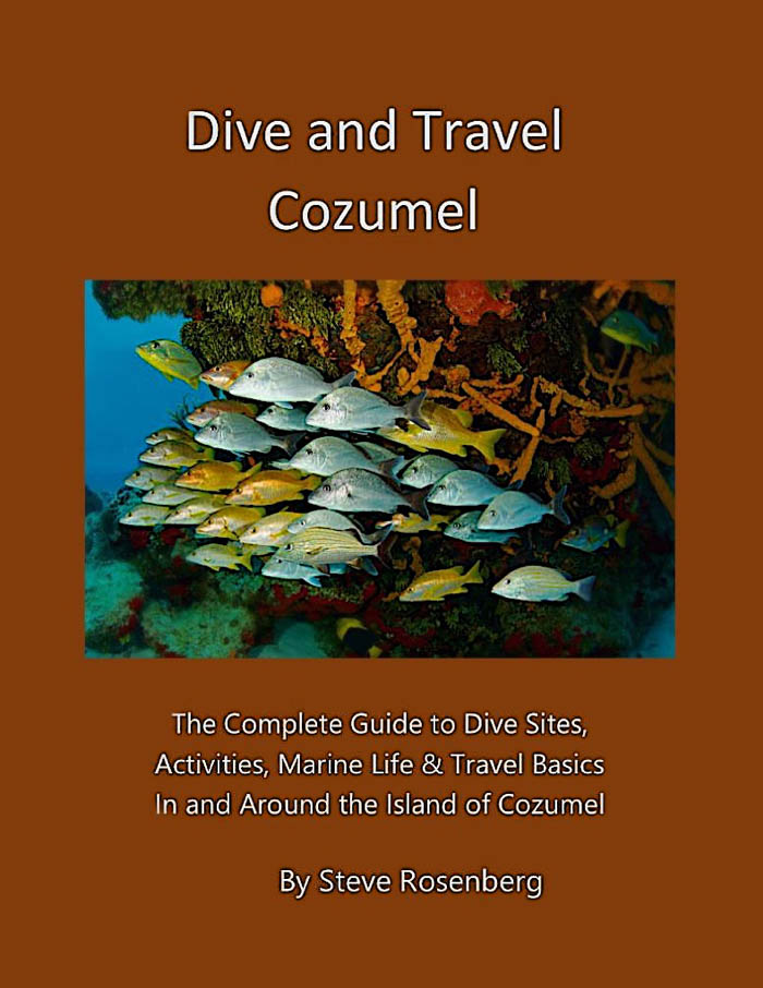 Dive and Travel Cozumel eBook