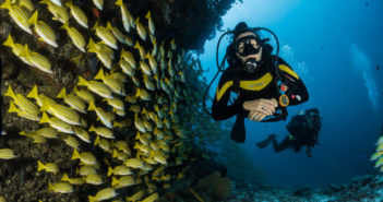 Diver Underwater