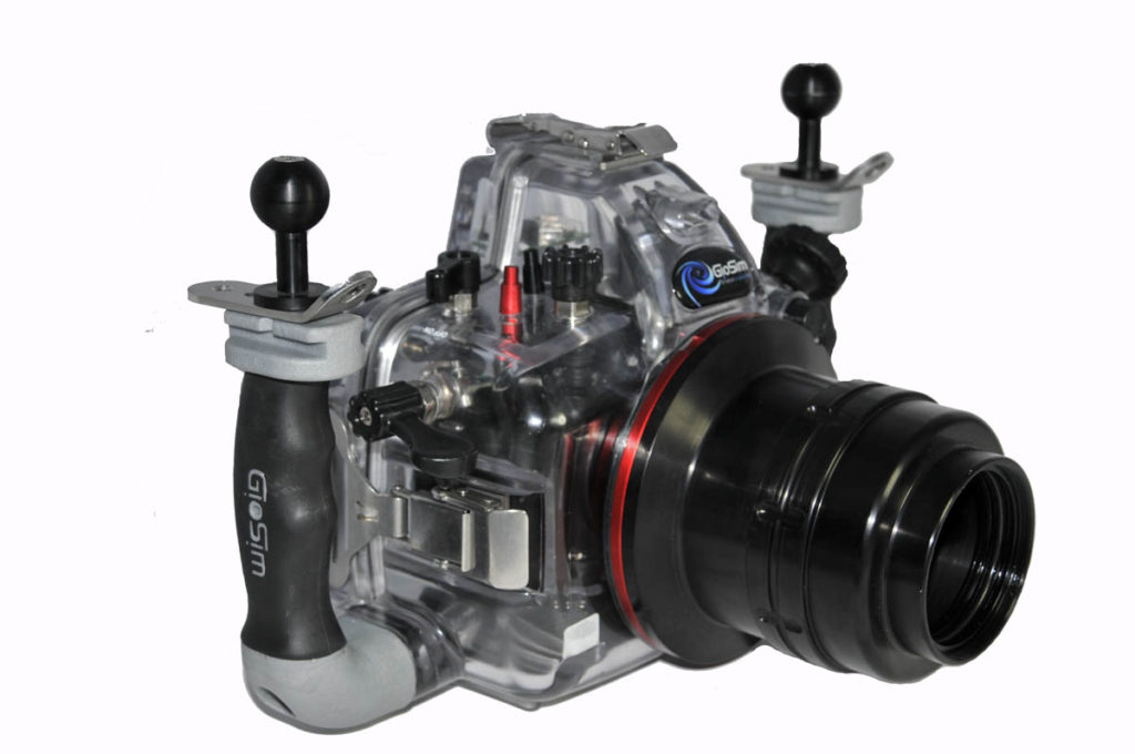 Geosim Housings