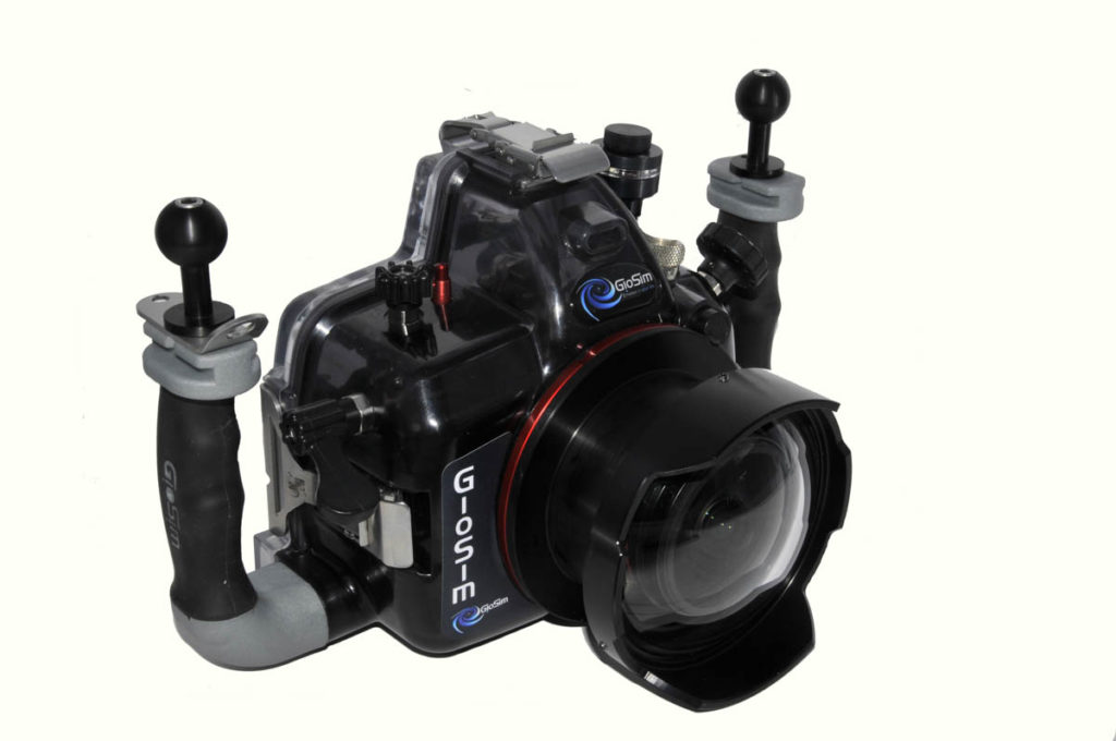 Geosim Housings