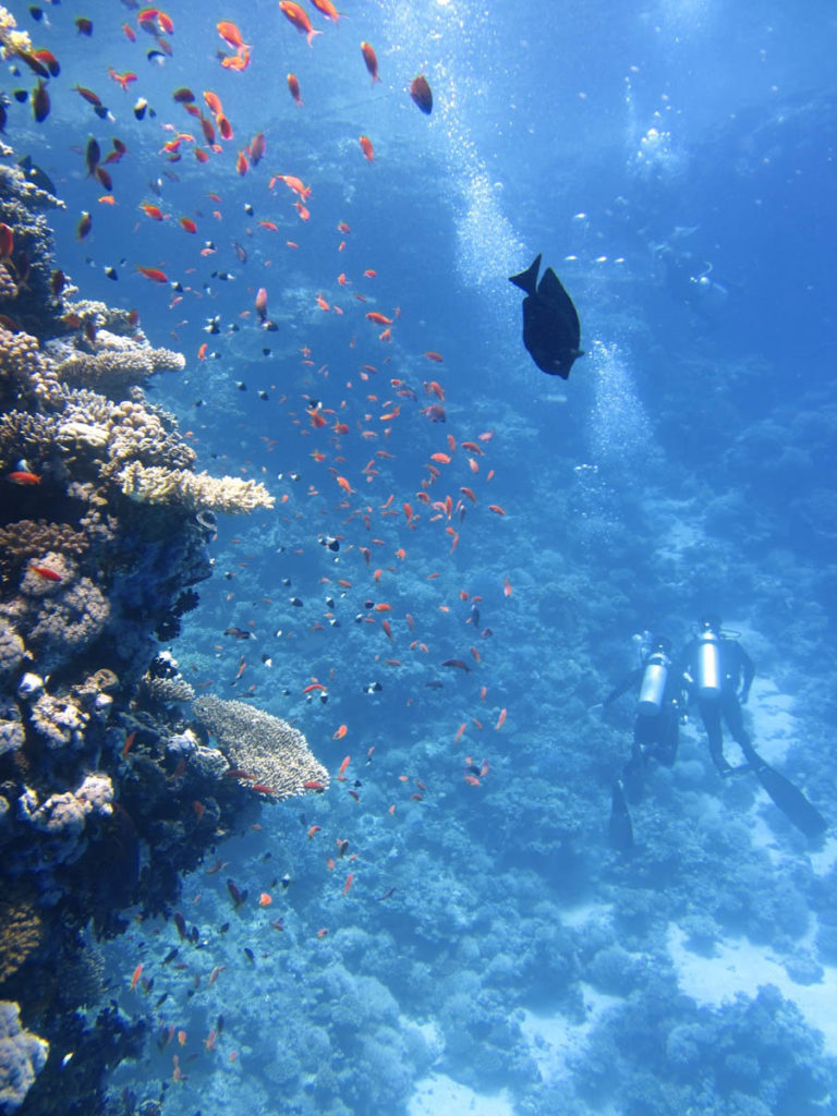 Koh Tao