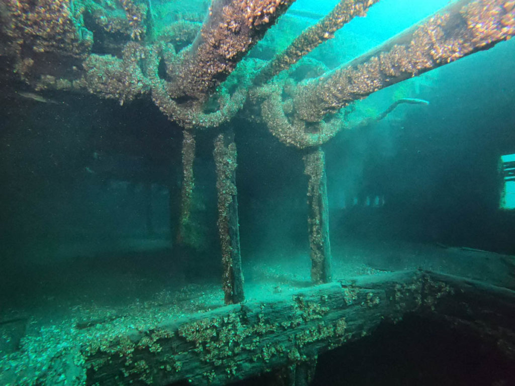 Eber Ward Shipwreck