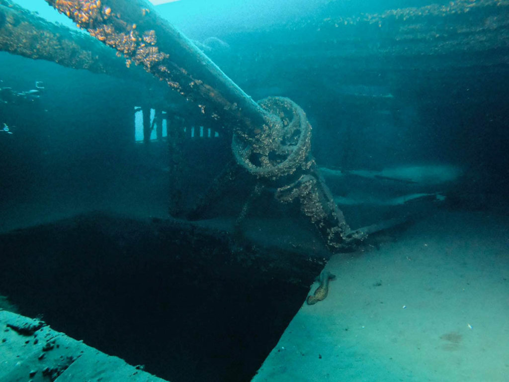 Eber Ward Shipwreck