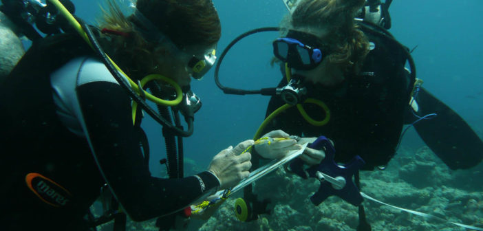 Coral Bleaching Study in the Maldives