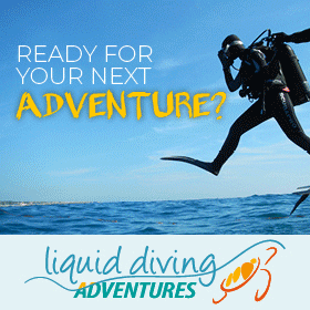 Liquid Diving Adventures