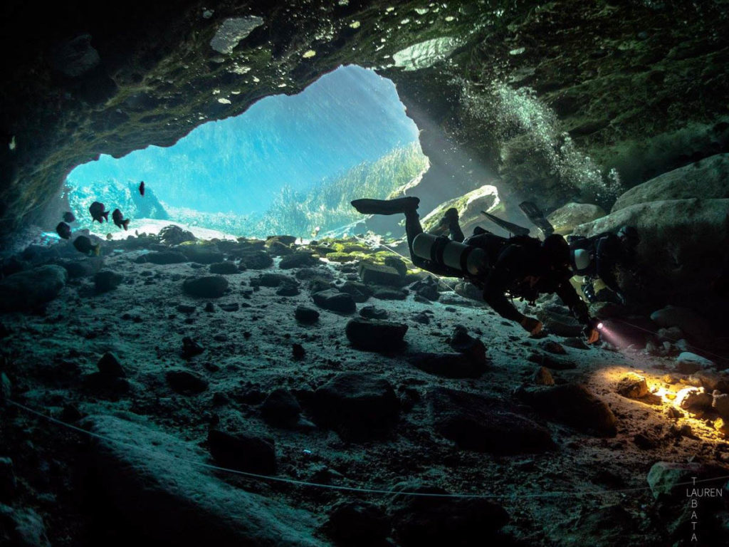 Divesoft DIVETALKS - EddSorenson