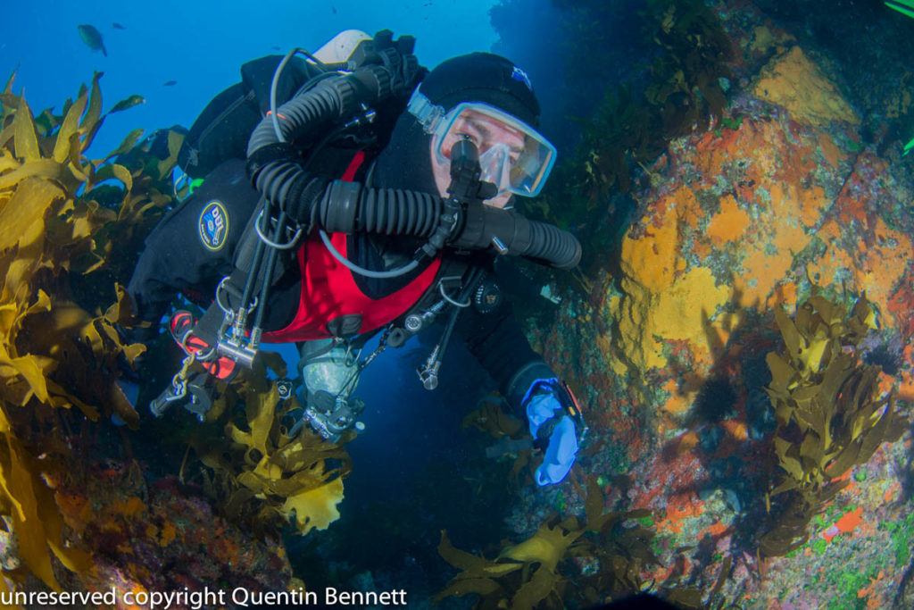 Divesoft Divetalks - Neal Pollock