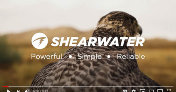 Shearwater