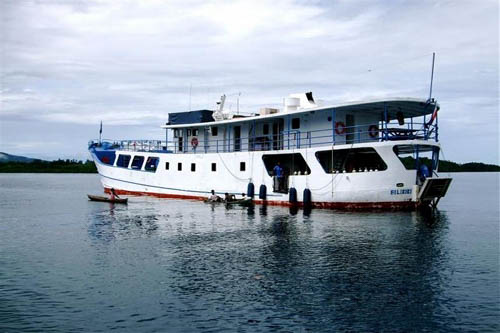 Solomon Islands with Liquid Diving Adventures