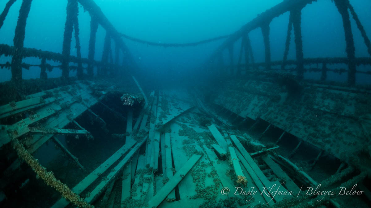 Learn more about the Westmoreland Shipwreck The Scuba News