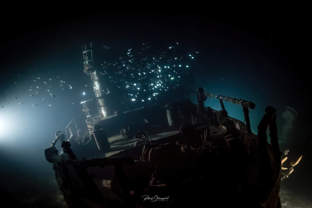 Night Diving - Adan Banga