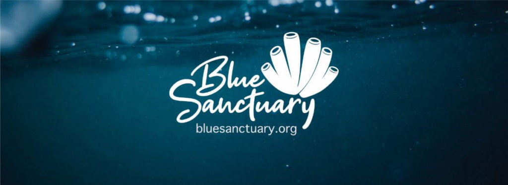 Blue Sanctuary