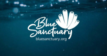 Blue Sanctuary