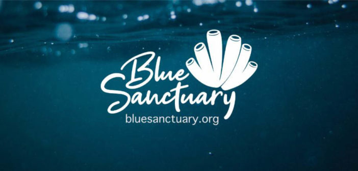 Blue Sanctuary – We Never Stop…