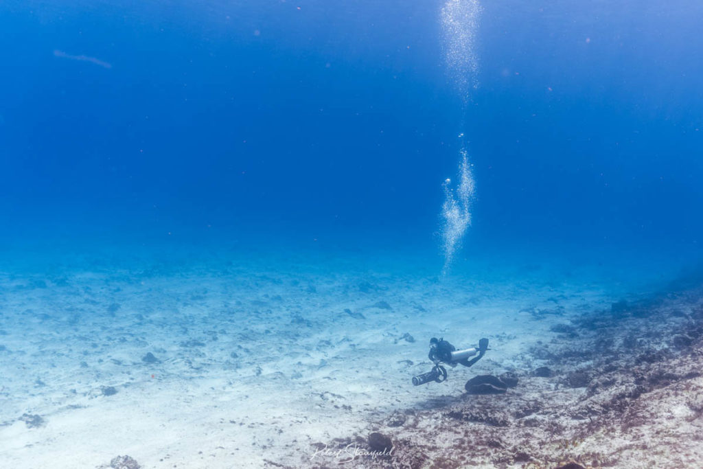 Boat vs Shore Diving - Adan Banga