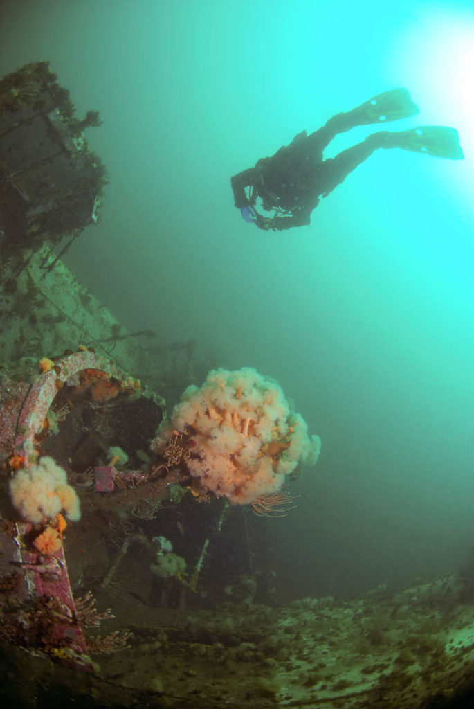 Lunenberg Ocean Adventures