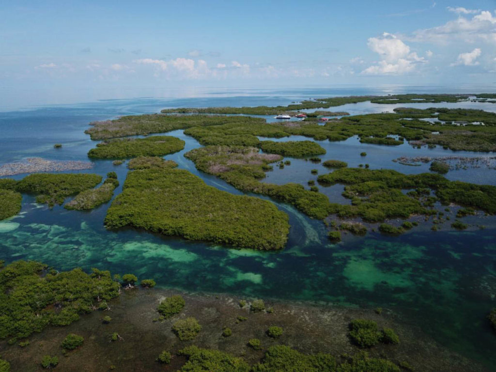 Blue Sanctuary