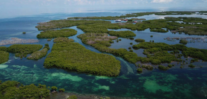 Blue Sanctuary – 3 Decades of Marine Conservation in Cuba