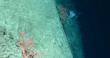 Deep Sea Mining