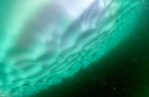 Iceberg