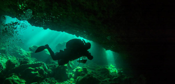 Louisbourg Scuba Services