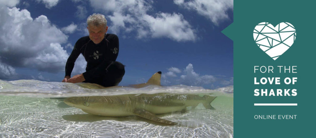 Love of Sharks 2020
