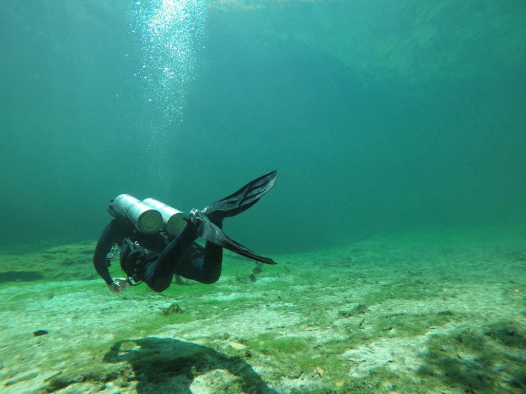 Twinset Diver