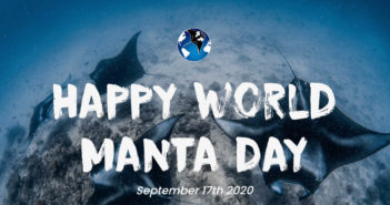 World Manta Day