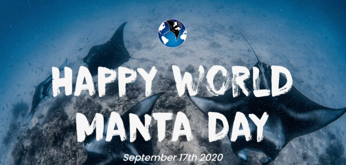 World Manta Day