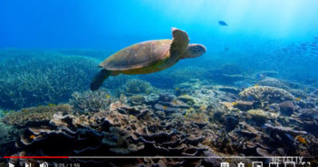 David Attenborough: A Life on Our Planet Now Available on Netflix Attenborough