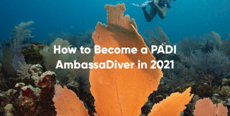 How to Become a PADI AmbassaDiver in 2021