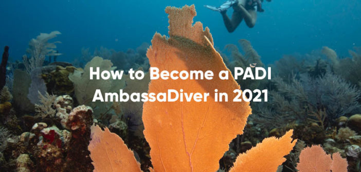 How to Become a PADI AmbassaDiver in 2021