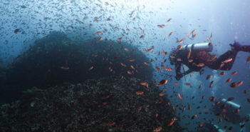 Diver Underwater