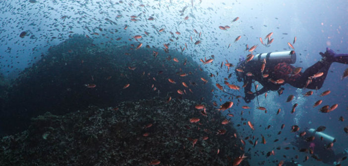 Diver Underwater