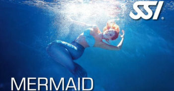 SSI Mermaid