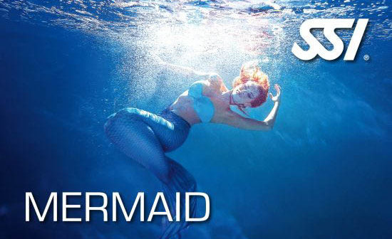 SSI Mermaid