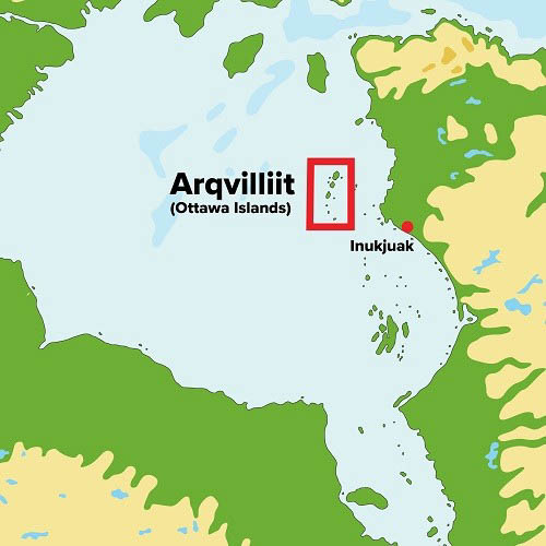 Arqvilliit