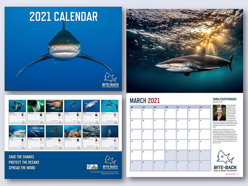 Bite Back Calendar 2021