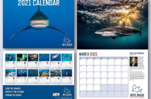 Bite Back Calendar 2021