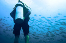 Diver Underwater