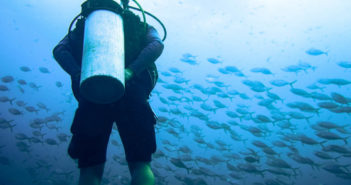 Diver Underwater