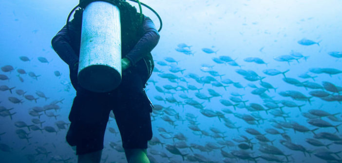 Diver Underwater