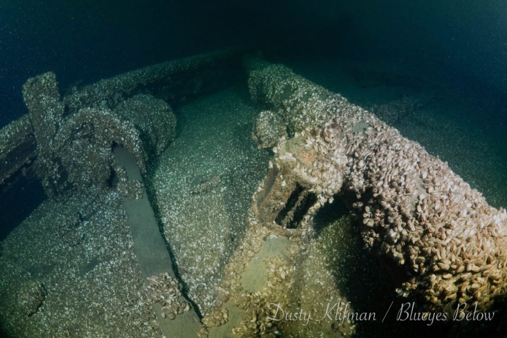 FT Barney Shipwreck