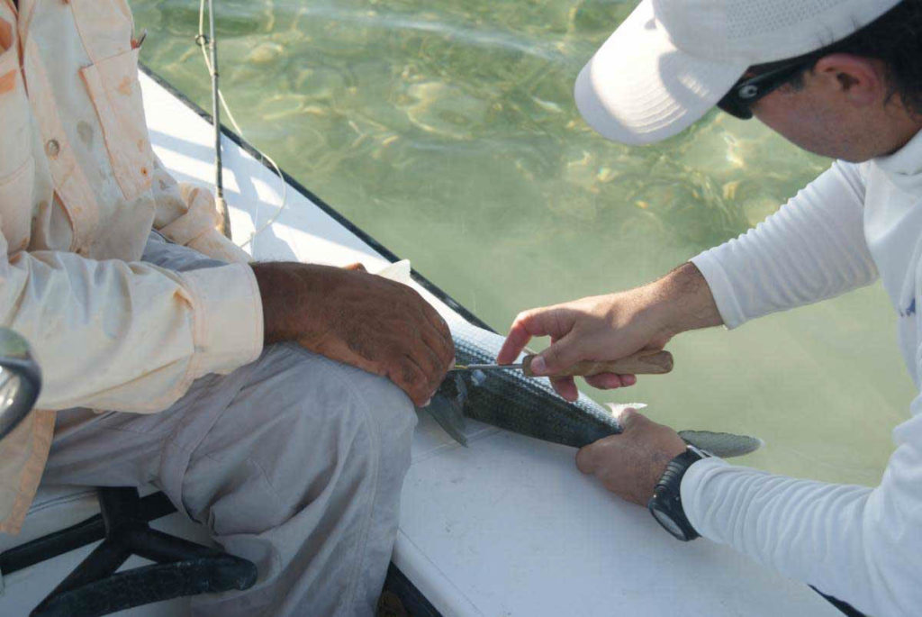 Cuban Marine Parks during Pandemic