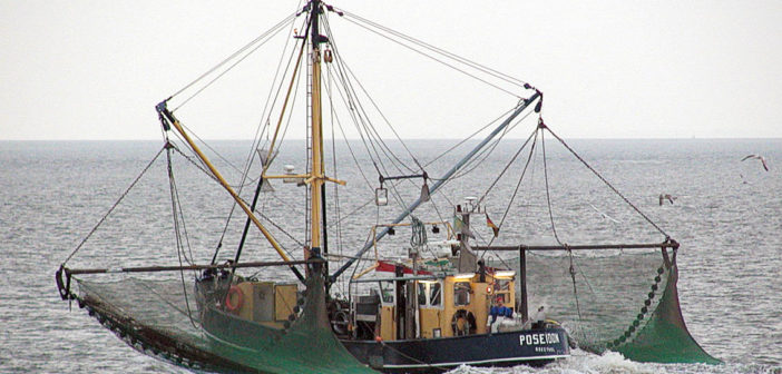 Fishing Boat