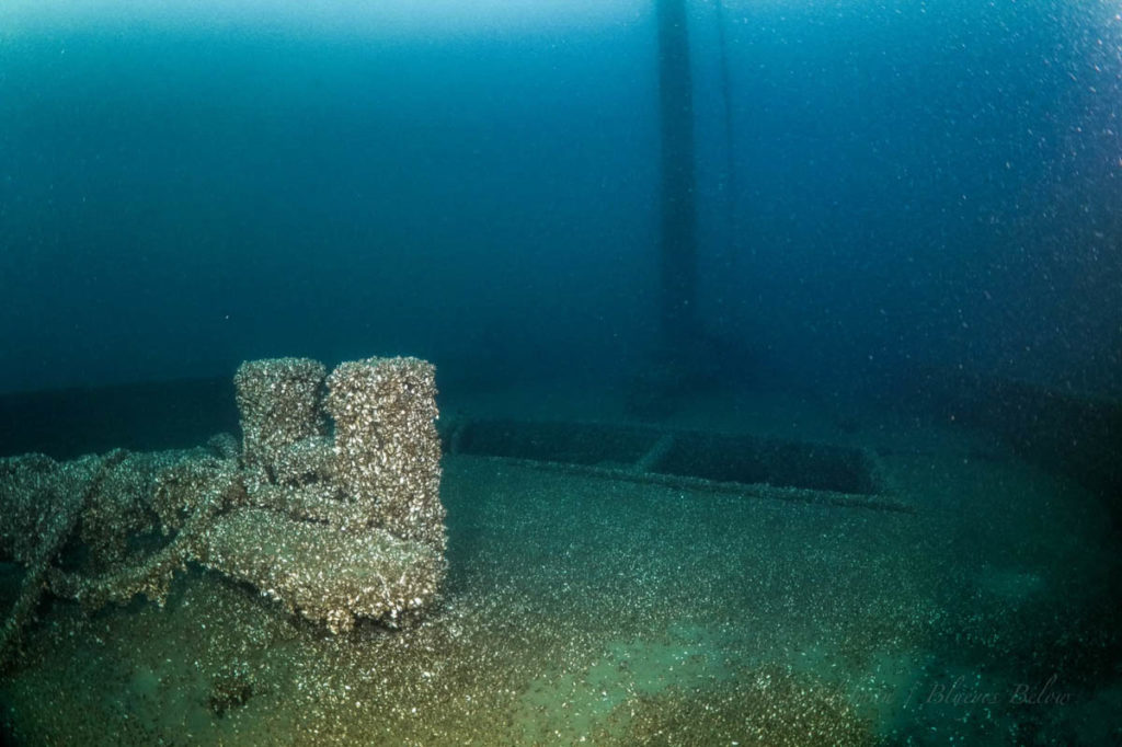 Newell Eddy Shipwreck