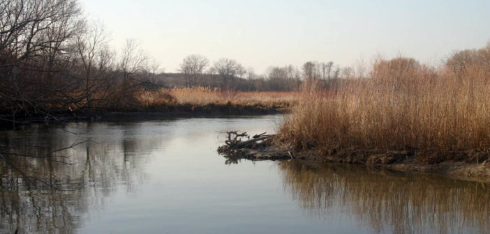 Ontario Wetlands