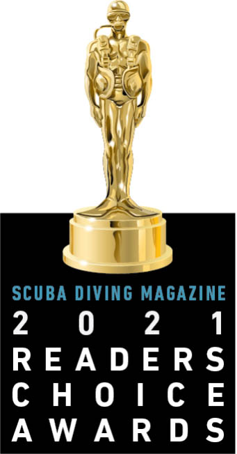 Pro Dive International Award