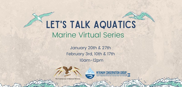 Let's Talk Aquatics