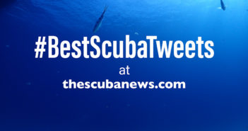 BestScubaTweets